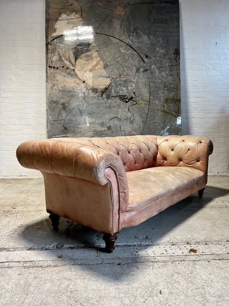 A Waring & Gillow Chesterfield Sofa in Faded Coral Hand Dyed Leathers