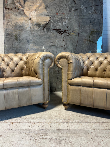 Fully Restored Matching Pair of Chesterfield Club Chairs Finished in our Hand Dyed Leathers